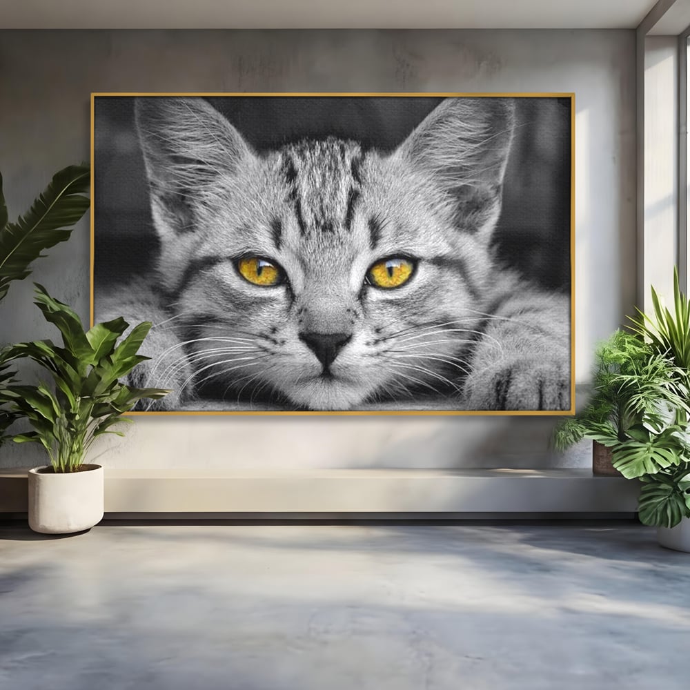Tablou Canvas Premium, LuxCanva® M1180, Scanteia Inocentei, Ochi, Felina, Pisica, Copilarie, Mic, Inocent, Dragalas, Privire, Blana, Alb si Negru, Animal, Birou, Living, Camera Copil