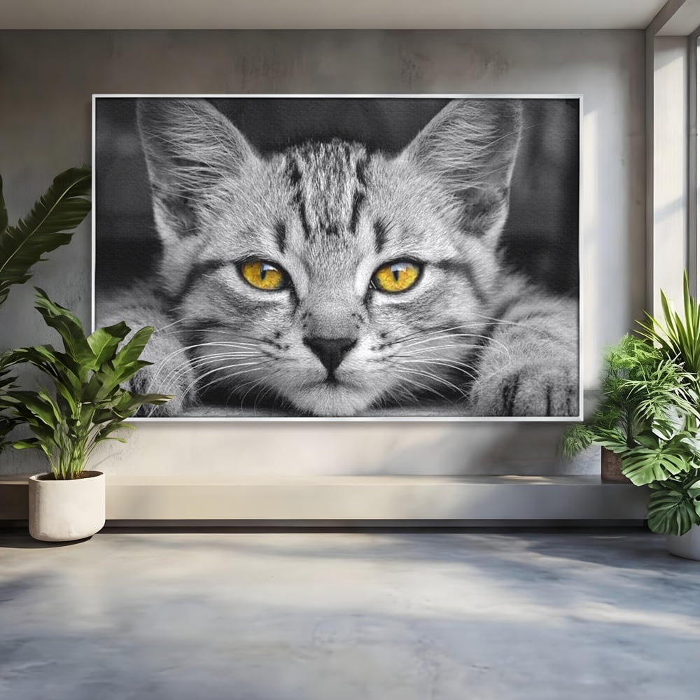 Tablou Canvas Premium, LuxCanva® M1180, Scanteia Inocentei, Ochi, Felina, Pisica, Copilarie, Mic, Inocent, Dragalas, Privire, Blana, Alb si Negru, Animal, Birou, Living, Camera Copil