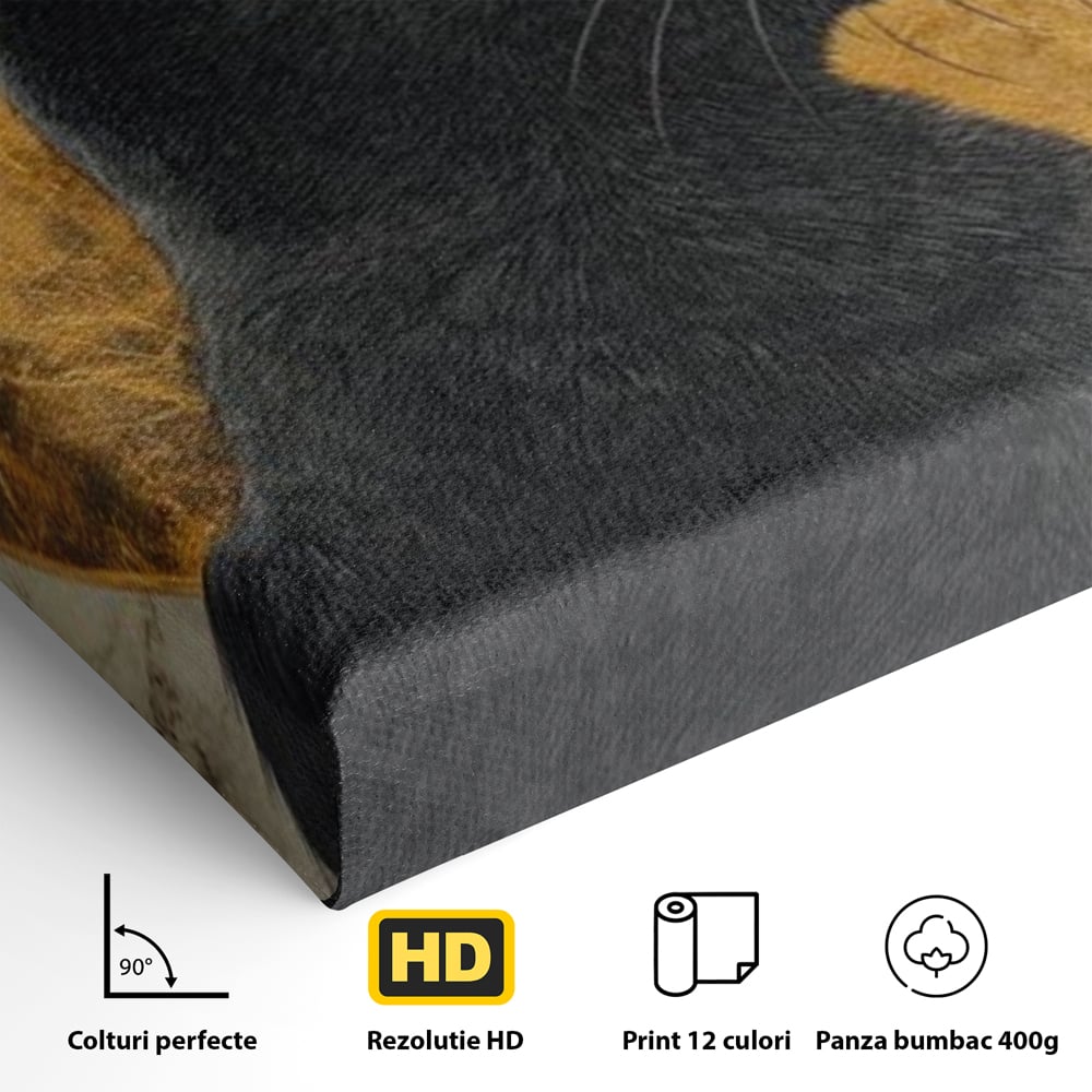 Tablou Canvas Premium, LuxCanva® M1181, Veghere Astrala, Luna, Astral, Marmura, Profil, Mister, Simbolic, Felina, Artistic, Pisica, Portret, Eleganta, Birou, Living, Camera Copil