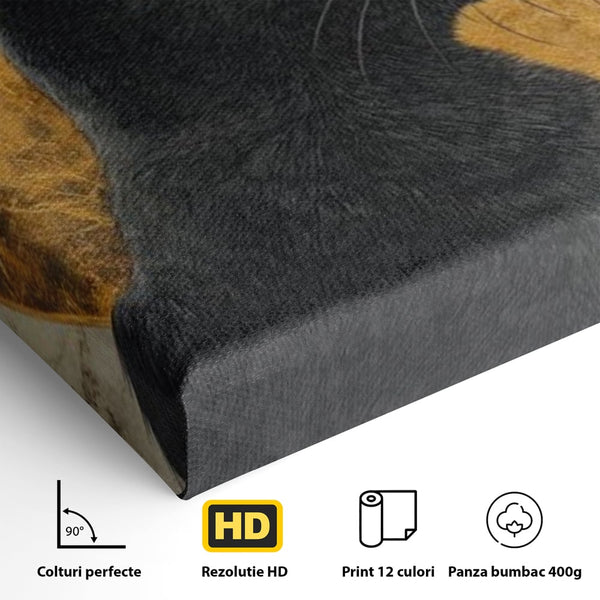 Tablou Canvas Premium, LuxCanva® M1181, Veghere Astrala, Luna, Astral, Marmura, Profil, Mister, Simbolic, Felina, Artistic, Pisica, Portret, Eleganta, Birou, Living, Camera Copil