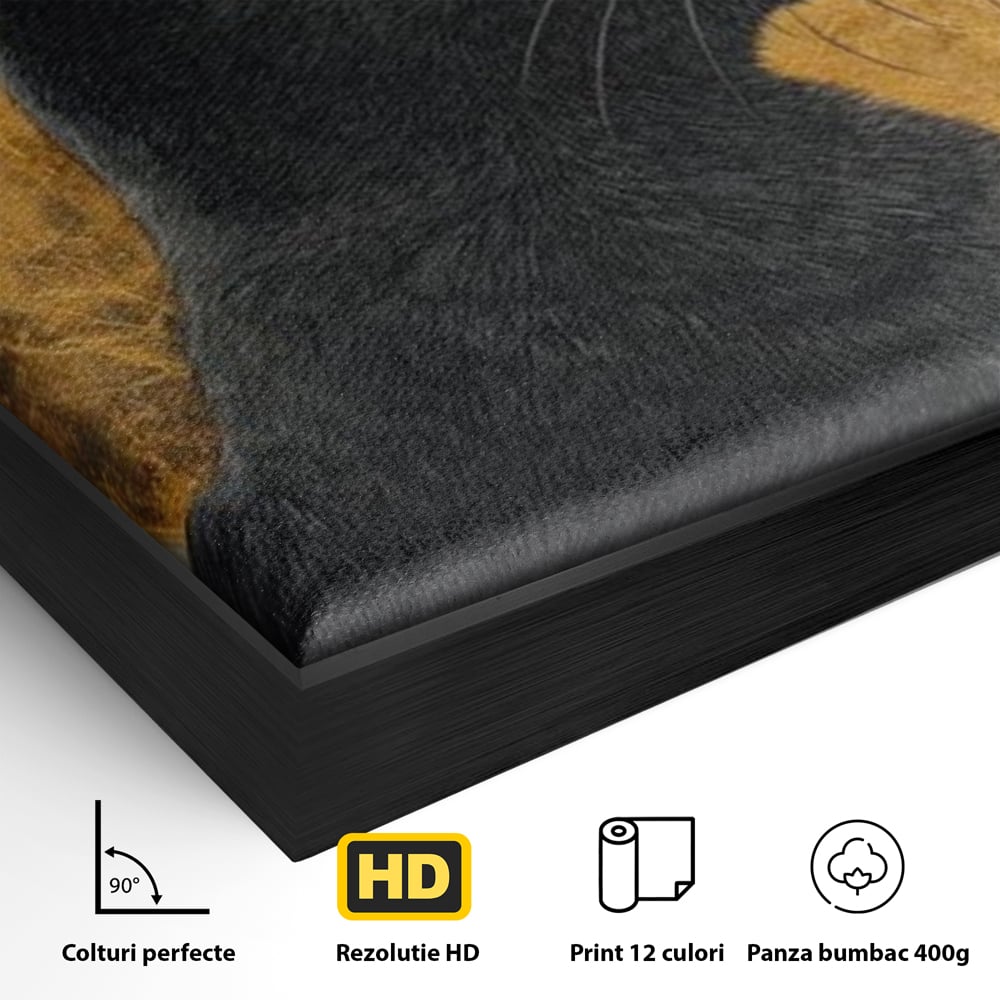 Tablou Canvas Premium, LuxCanva® M1181, Veghere Astrala, Luna, Astral, Marmura, Profil, Mister, Simbolic, Felina, Artistic, Pisica, Portret, Eleganta, Birou, Living, Camera Copil