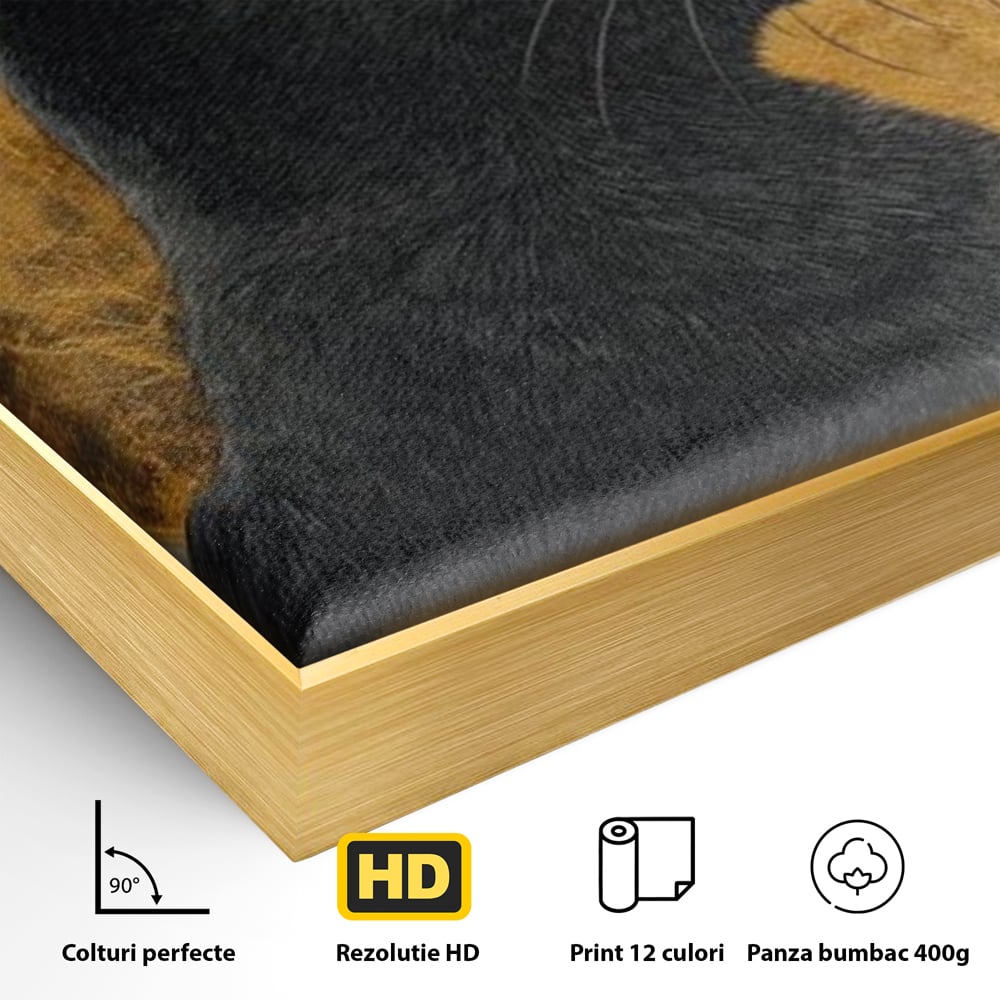 Tablou Canvas Premium, LuxCanva® M1181, Veghere Astrala, Luna, Astral, Marmura, Profil, Mister, Simbolic, Felina, Artistic, Pisica, Portret, Eleganta, Birou, Living, Camera Copil