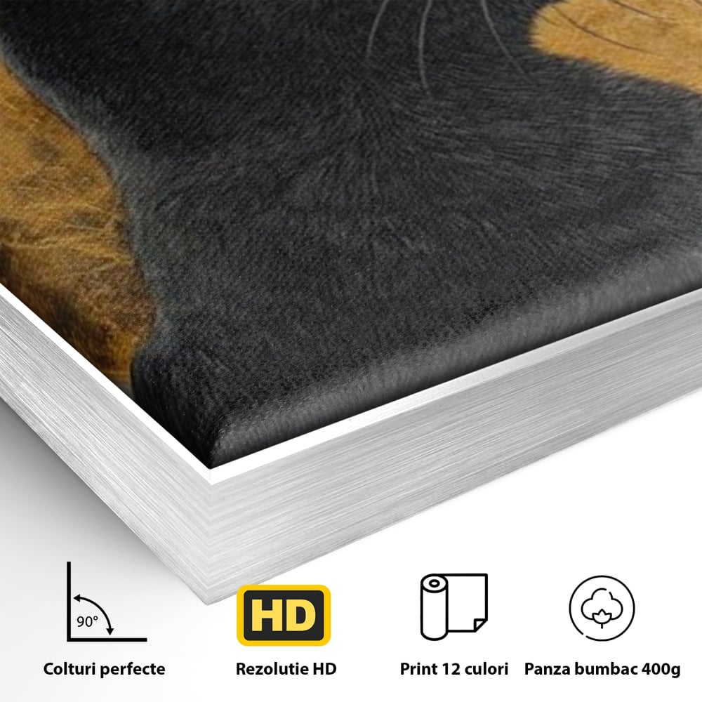 Tablou Canvas Premium, LuxCanva® M1181, Veghere Astrala, Luna, Astral, Marmura, Profil, Mister, Simbolic, Felina, Artistic, Pisica, Portret, Eleganta, Birou, Living, Camera Copil