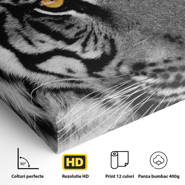 Tablou Canvas Premium, LuxCanva® M1183, Spirit Neimblanzit, Tigru, Alb si Negru, Felina, Jungla, Exotic, Portret, Profil, Forta, Instinct, Privire, Animal, Birou, Living, Camera Copil