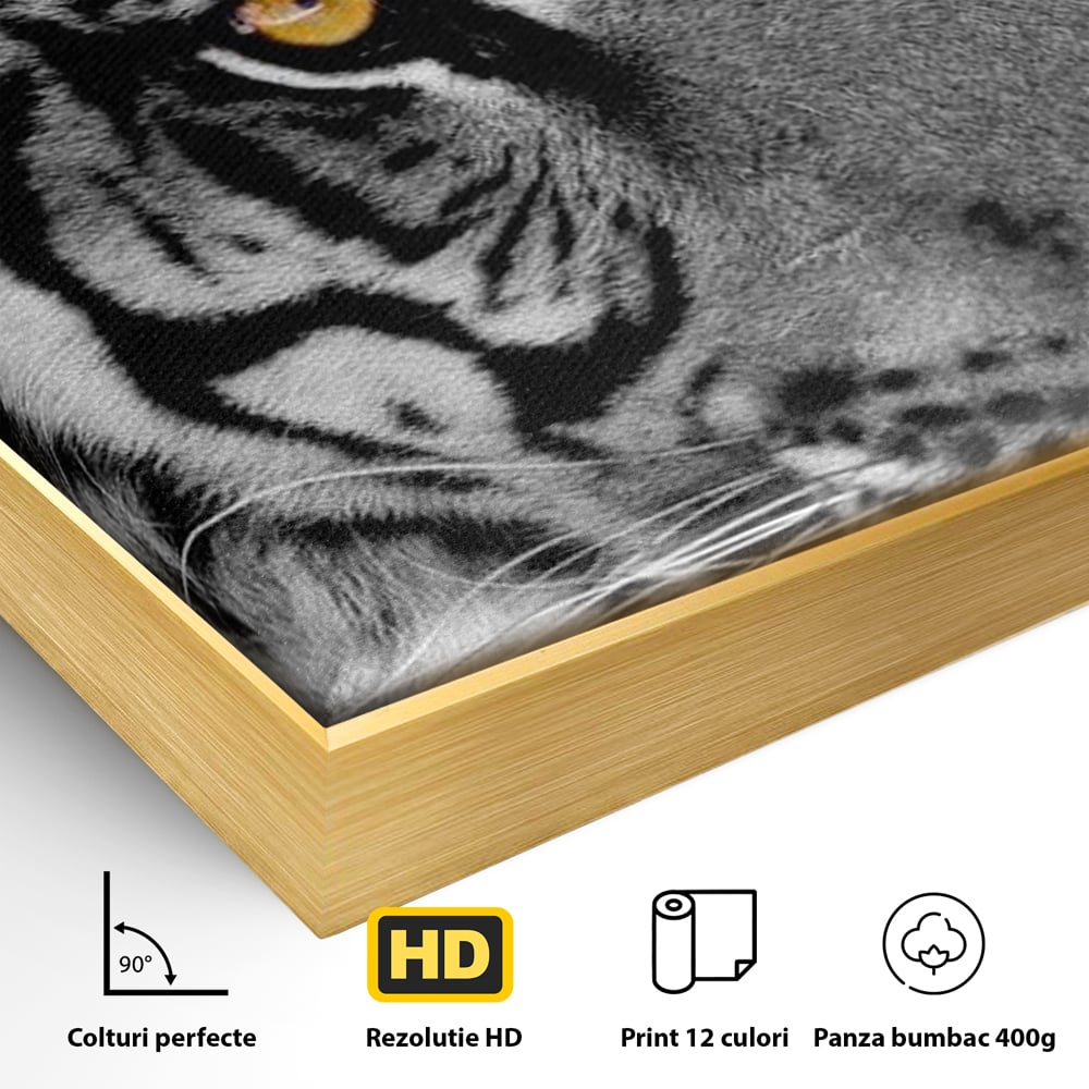 Tablou Canvas Premium, LuxCanva® M1183, Spirit Neimblanzit, Tigru, Alb si Negru, Felina, Jungla, Exotic, Portret, Profil, Forta, Instinct, Privire, Animal, Birou, Living, Camera Copil