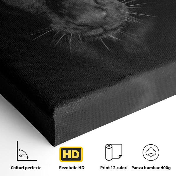 Leinwand Wandkunst Canvas Premium, LuxCanva® M1184, Absolute Dunkelheit, Panther, Dunkel, Schwarz, Abgrund, Blick, Tier, Porträt, Schatten, diskret, Katze, Augen, Büro, Wohnen, Kinderzimmer