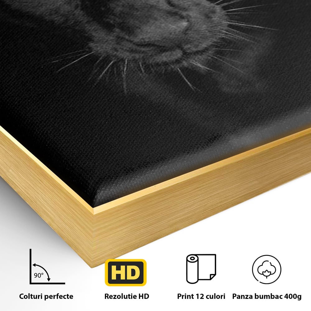 Leinwand Wandkunst Canvas Premium, LuxCanva® M1184, Absolute Dunkelheit, Panther, Dunkel, Schwarz, Abgrund, Blick, Tier, Porträt, Schatten, diskret, Katze, Augen, Büro, Wohnen, Kinderzimmer
