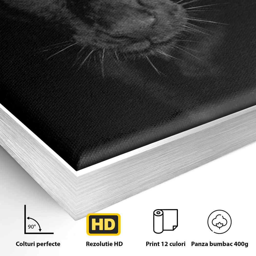 Leinwand Wandkunst Canvas Premium, LuxCanva® M1184, Absolute Dunkelheit, Panther, Dunkel, Schwarz, Abgrund, Blick, Tier, Porträt, Schatten, diskret, Katze, Augen, Büro, Wohnen, Kinderzimmer