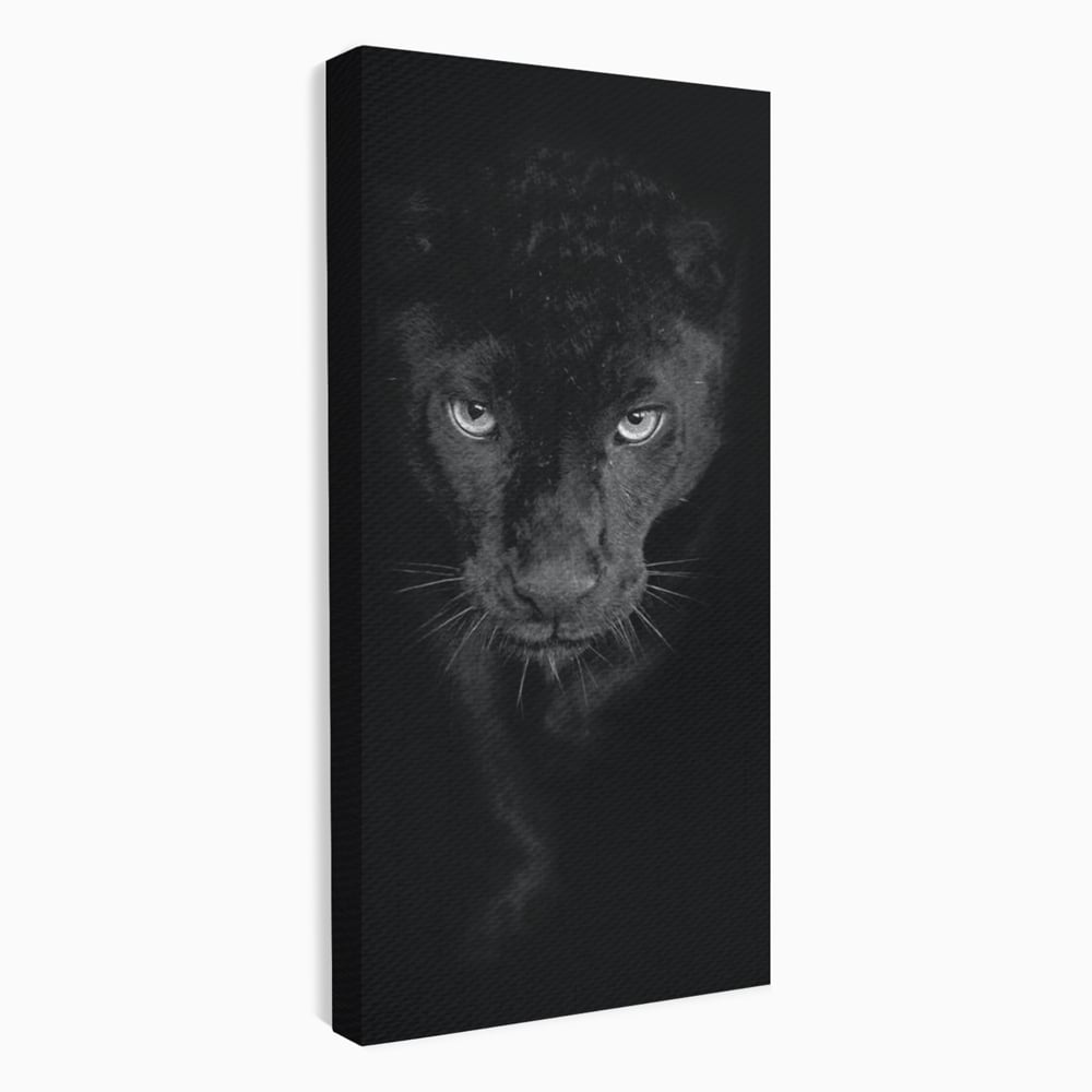 Leinwand Wandkunst Canvas Premium, LuxCanva® M1184, Absolute Dunkelheit, Panther, Dunkel, Schwarz, Abgrund, Blick, Tier, Porträt, Schatten, diskret, Katze, Augen, Büro, Wohnen, Kinderzimmer
