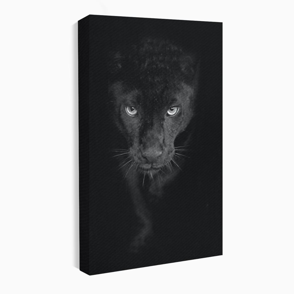 Leinwand Wandkunst Canvas Premium, LuxCanva® M1184, Absolute Dunkelheit, Panther, Dunkel, Schwarz, Abgrund, Blick, Tier, Porträt, Schatten, diskret, Katze, Augen, Büro, Wohnen, Kinderzimmer