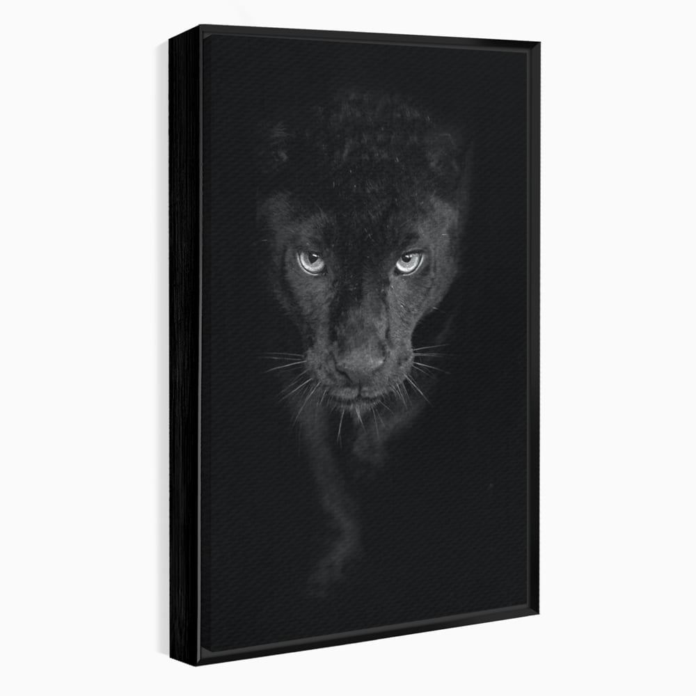 Leinwand Wandkunst Canvas Premium, LuxCanva® M1184, Absolute Dunkelheit, Panther, Dunkel, Schwarz, Abgrund, Blick, Tier, Porträt, Schatten, diskret, Katze, Augen, Büro, Wohnen, Kinderzimmer