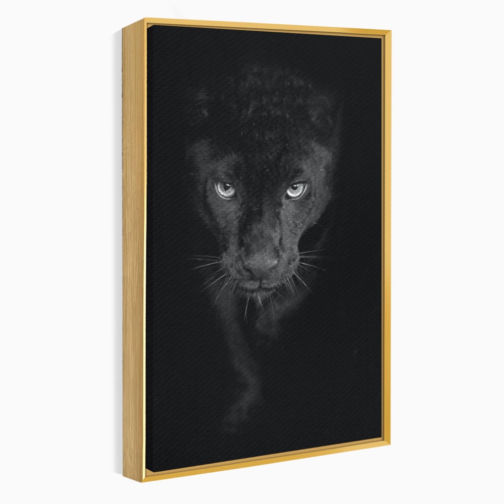 Leinwand Wandkunst Canvas Premium, LuxCanva® M1184, Absolute Dunkelheit, Panther, Dunkel, Schwarz, Abgrund, Blick, Tier, Porträt, Schatten, diskret, Katze, Augen, Büro, Wohnen, Kinderzimmer