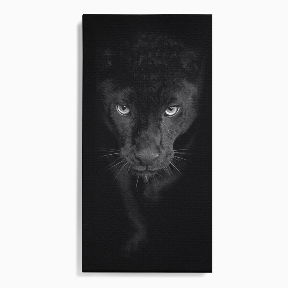 Leinwand Wandkunst Canvas Premium, LuxCanva® M1184, Absolute Dunkelheit, Panther, Dunkel, Schwarz, Abgrund, Blick, Tier, Porträt, Schatten, diskret, Katze, Augen, Büro, Wohnen, Kinderzimmer