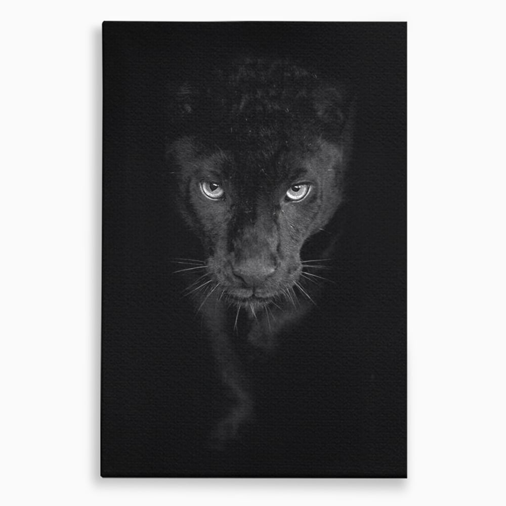 Leinwand Wandkunst Canvas Premium, LuxCanva® M1184, Absolute Dunkelheit, Panther, Dunkel, Schwarz, Abgrund, Blick, Tier, Porträt, Schatten, diskret, Katze, Augen, Büro, Wohnen, Kinderzimmer
