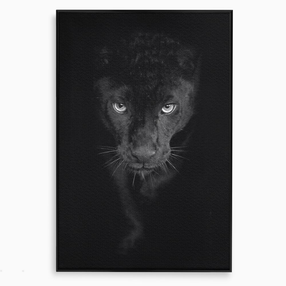 Leinwand Wandkunst Canvas Premium, LuxCanva® M1184, Absolute Dunkelheit, Panther, Dunkel, Schwarz, Abgrund, Blick, Tier, Porträt, Schatten, diskret, Katze, Augen, Büro, Wohnen, Kinderzimmer