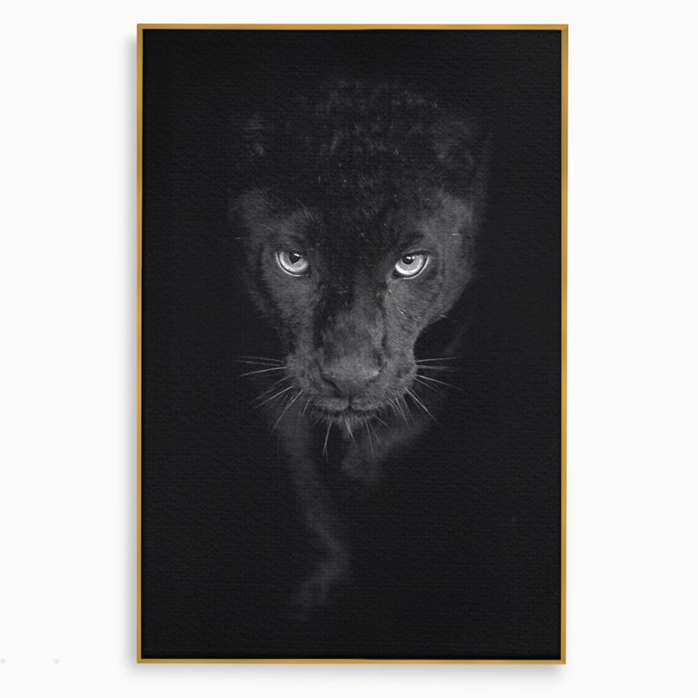 Leinwand Wandkunst Canvas Premium, LuxCanva® M1184, Absolute Dunkelheit, Panther, Dunkel, Schwarz, Abgrund, Blick, Tier, Porträt, Schatten, diskret, Katze, Augen, Büro, Wohnen, Kinderzimmer