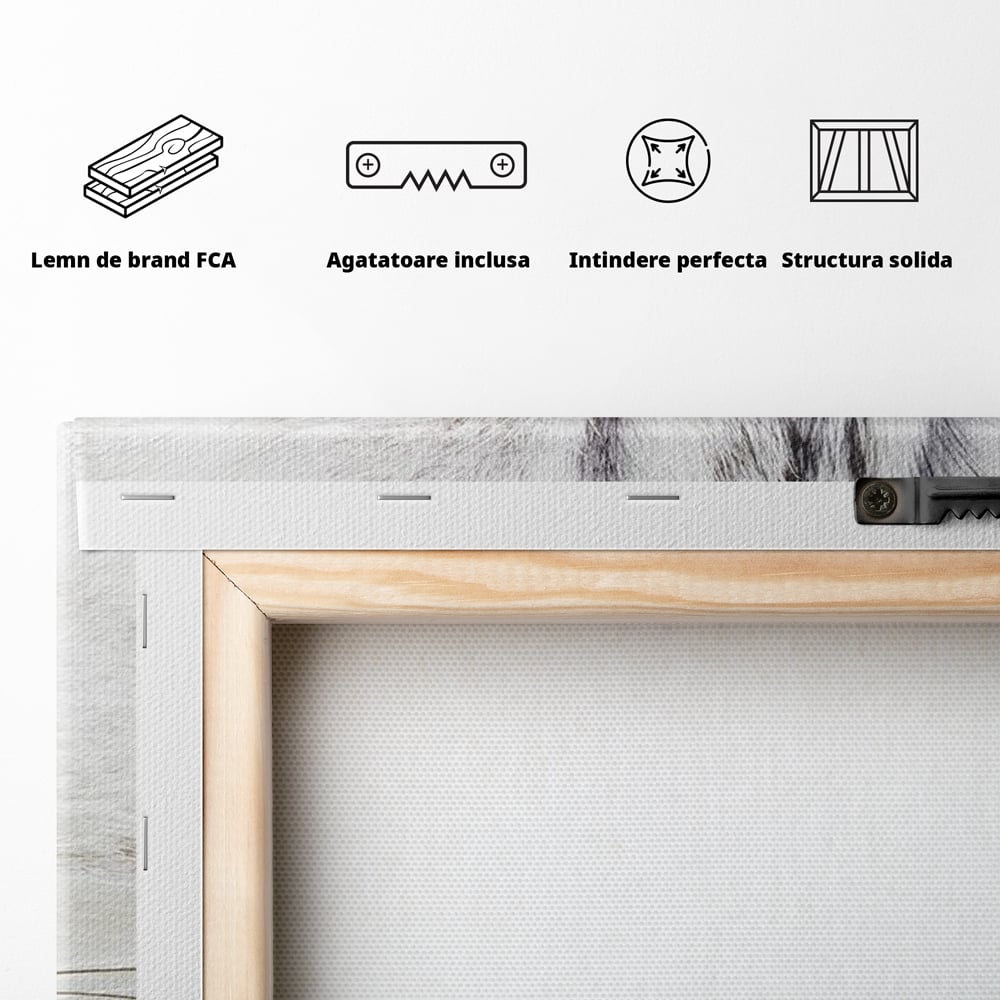 Tablou Canvas Premium, LuxCanva® M1187, Smarald Adormit, Pisica, Felina, Chip, Ochi, Verde, Privire, Portret, Vis, Relaxare, Natura, Blana, Birou, Living, Camera Copil