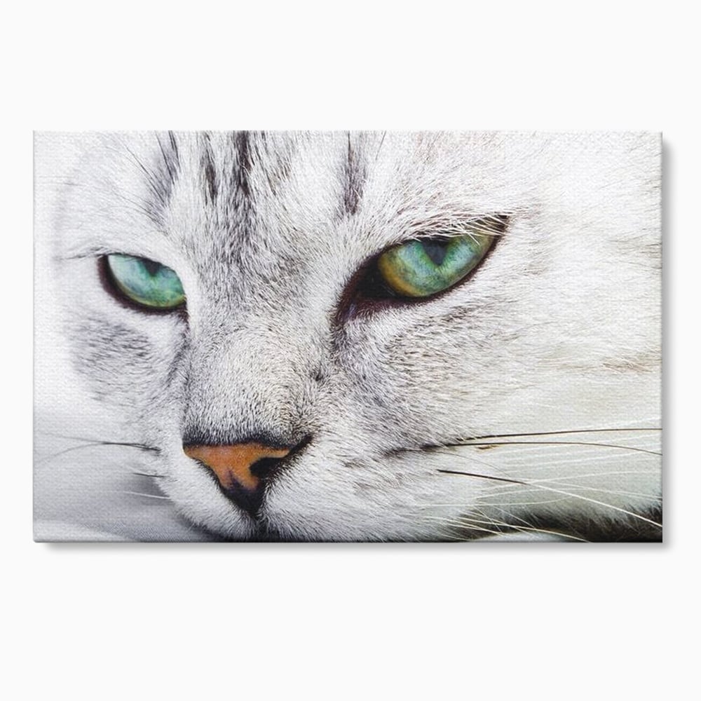 Tablou Canvas Premium, LuxCanva® M1187, Smarald Adormit, Pisica, Felina, Chip, Ochi, Verde, Privire, Portret, Vis, Relaxare, Natura, Blana, Birou, Living, Camera Copil