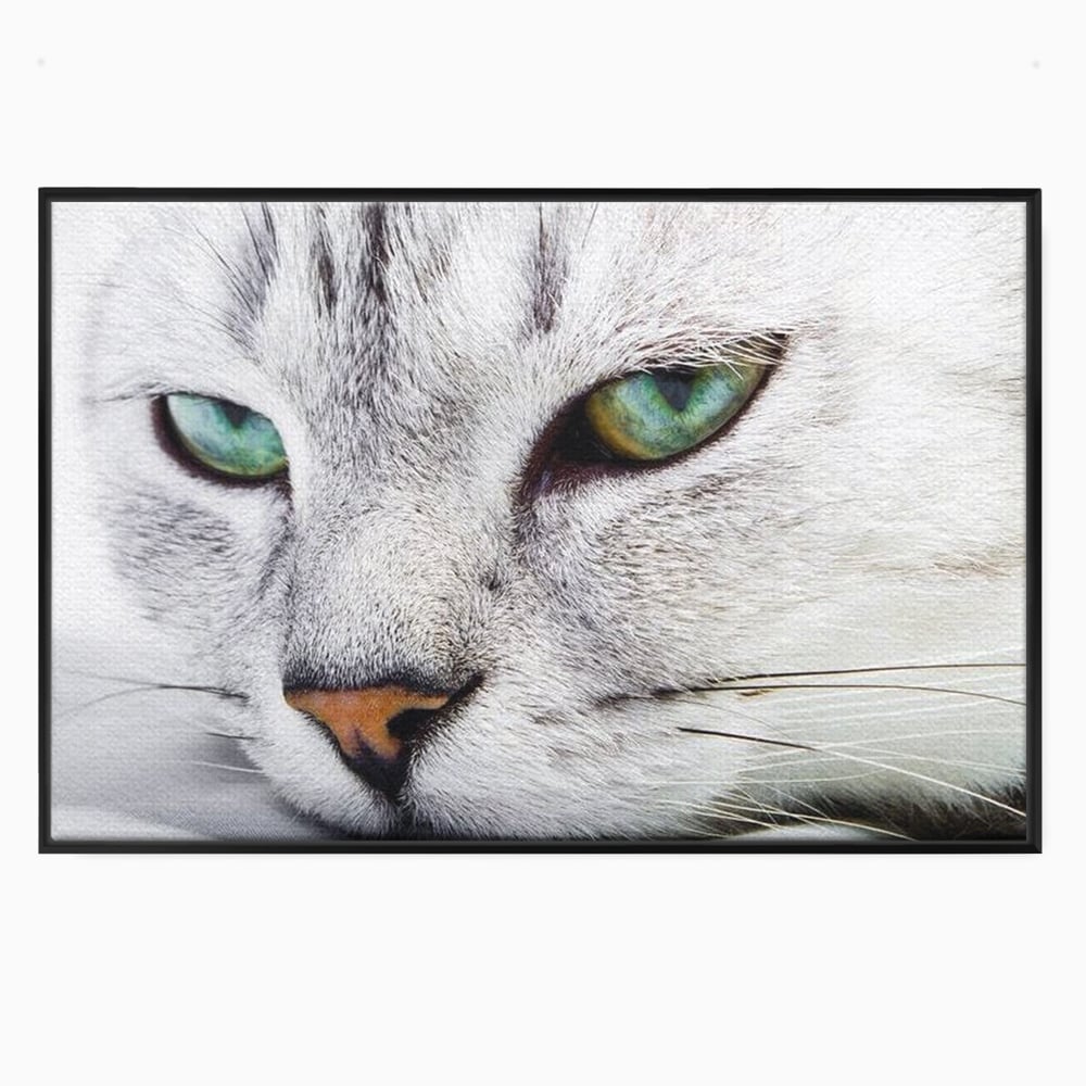 Tablou Canvas Premium, LuxCanva® M1187, Smarald Adormit, Pisica, Felina, Chip, Ochi, Verde, Privire, Portret, Vis, Relaxare, Natura, Blana, Birou, Living, Camera Copil