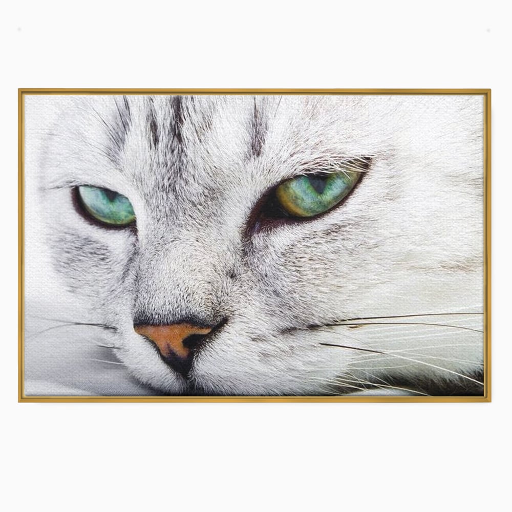 Tablou Canvas Premium, LuxCanva® M1187, Smarald Adormit, Pisica, Felina, Chip, Ochi, Verde, Privire, Portret, Vis, Relaxare, Natura, Blana, Birou, Living, Camera Copil