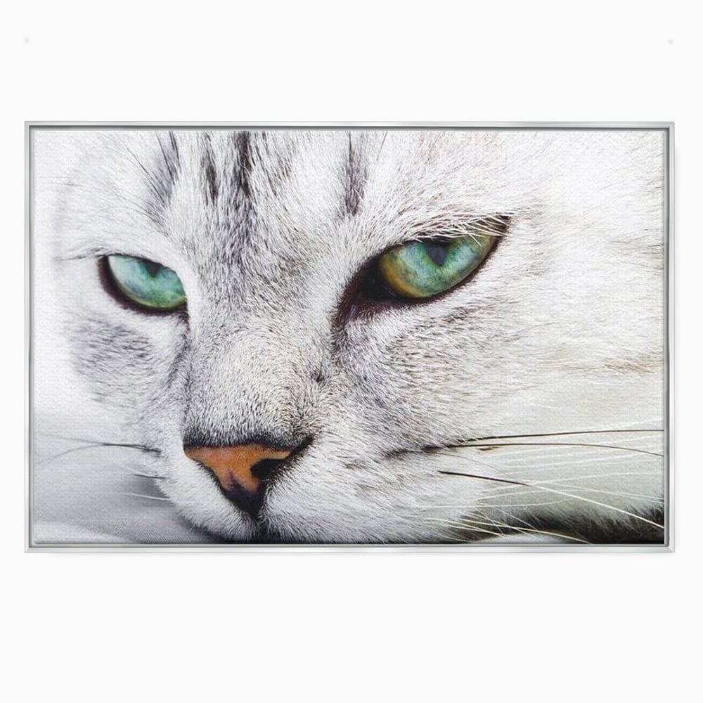 Tablou Canvas Premium, LuxCanva® M1187, Smarald Adormit, Pisica, Felina, Chip, Ochi, Verde, Privire, Portret, Vis, Relaxare, Natura, Blana, Birou, Living, Camera Copil