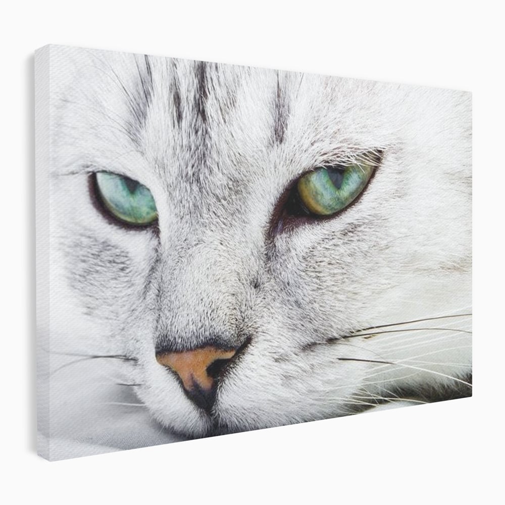 Tablou Canvas Premium, LuxCanva® M1187, Smarald Adormit, Pisica, Felina, Chip, Ochi, Verde, Privire, Portret, Vis, Relaxare, Natura, Blana, Birou, Living, Camera Copil