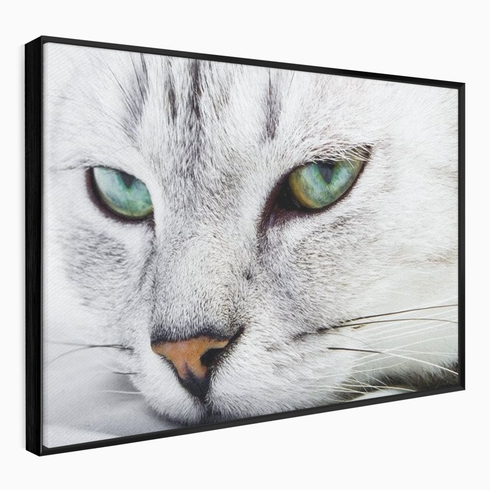 Tablou Canvas Premium, LuxCanva® M1187, Smarald Adormit, Pisica, Felina, Chip, Ochi, Verde, Privire, Portret, Vis, Relaxare, Natura, Blana, Birou, Living, Camera Copil