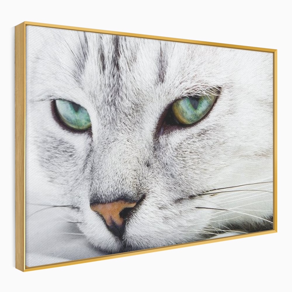 Tablou Canvas Premium, LuxCanva® M1187, Smarald Adormit, Pisica, Felina, Chip, Ochi, Verde, Privire, Portret, Vis, Relaxare, Natura, Blana, Birou, Living, Camera Copil