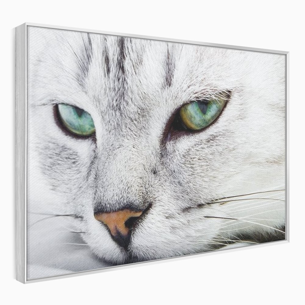 Tablou Canvas Premium, LuxCanva® M1187, Smarald Adormit, Pisica, Felina, Chip, Ochi, Verde, Privire, Portret, Vis, Relaxare, Natura, Blana, Birou, Living, Camera Copil