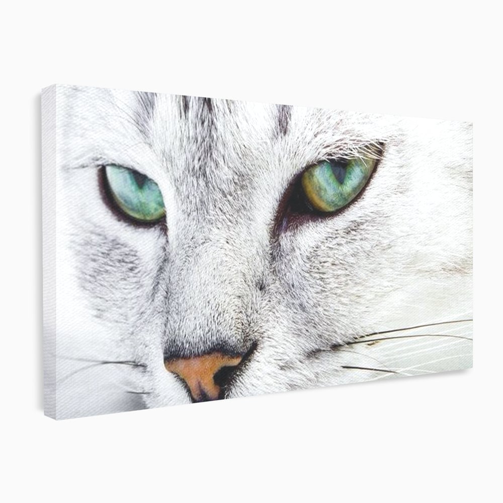 Tablou Canvas Premium, LuxCanva® M1187, Smarald Adormit, Pisica, Felina, Chip, Ochi, Verde, Privire, Portret, Vis, Relaxare, Natura, Blana, Birou, Living, Camera Copil