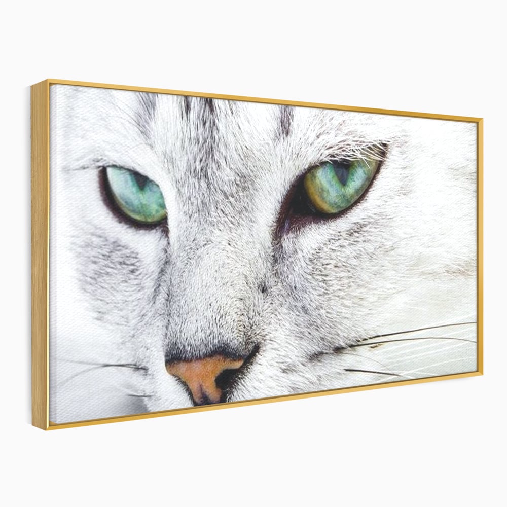 Tablou Canvas Premium, LuxCanva® M1187, Smarald Adormit, Pisica, Felina, Chip, Ochi, Verde, Privire, Portret, Vis, Relaxare, Natura, Blana, Birou, Living, Camera Copil