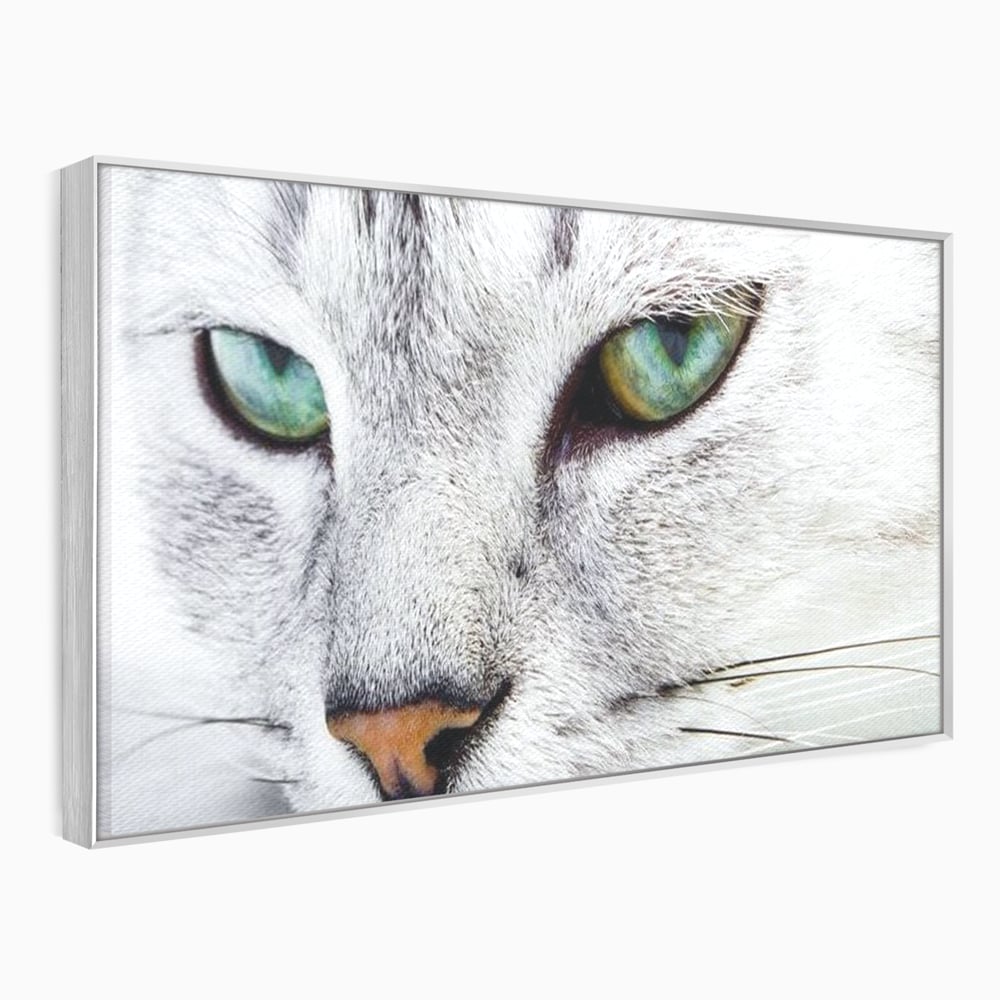 Tablou Canvas Premium, LuxCanva® M1187, Smarald Adormit, Pisica, Felina, Chip, Ochi, Verde, Privire, Portret, Vis, Relaxare, Natura, Blana, Birou, Living, Camera Copil