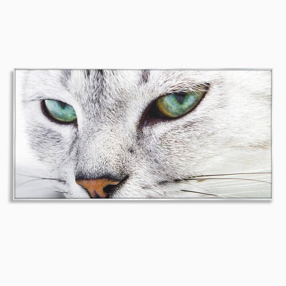 Tablou Canvas Premium, LuxCanva® M1187, Smarald Adormit, Pisica, Felina, Chip, Ochi, Verde, Privire, Portret, Vis, Relaxare, Natura, Blana, Birou, Living, Camera Copil