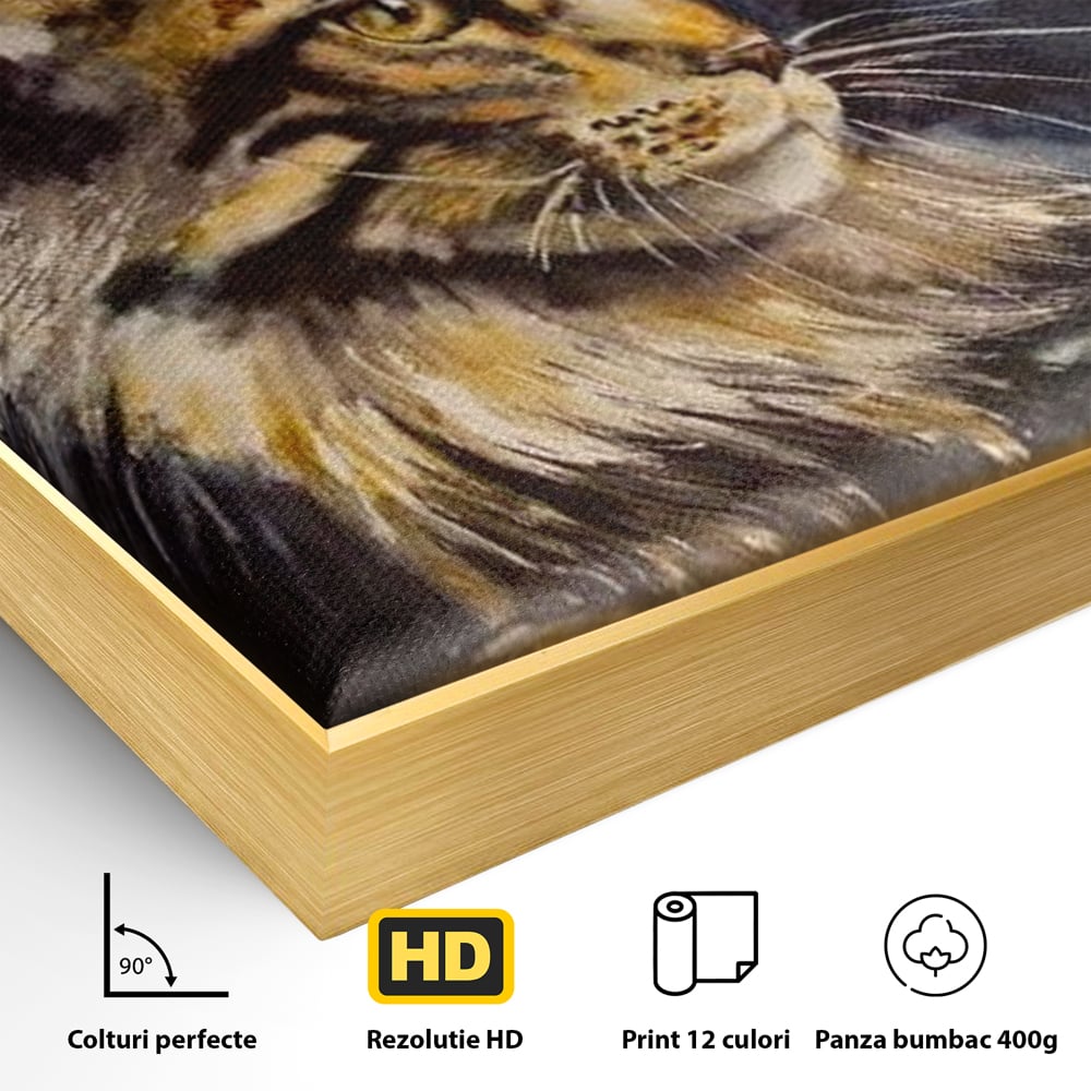 Tablou Canvas Premium, LuxCanva® M1188, Felina Noptii, Cosmos, Galaxie, Univers, Pictura, Felina, Pisica, Stele, Spatiu, Magie, Abstract, Birou, Living, Camera Copil