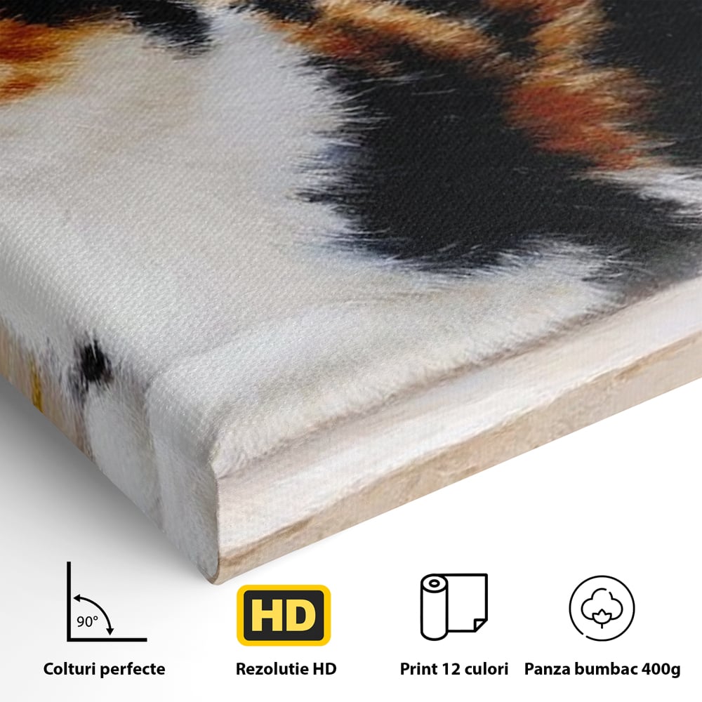 Tablou Canvas Premium, LuxCanva® M1193, Pisica in Vis Parizian, Turnul Eiffel, Paris, Oras, Pisica, Blana, Felina, Fereastra, Frantuzesc, Pervaz, Calico, Birou, Living, Camera Copil