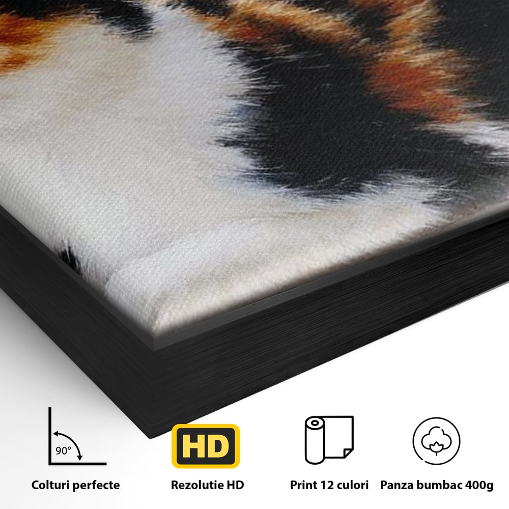 Tablou Canvas Premium, LuxCanva® M1193, Pisica in Vis Parizian, Turnul Eiffel, Paris, Oras, Pisica, Blana, Felina, Fereastra, Frantuzesc, Pervaz, Calico, Birou, Living, Camera Copil
