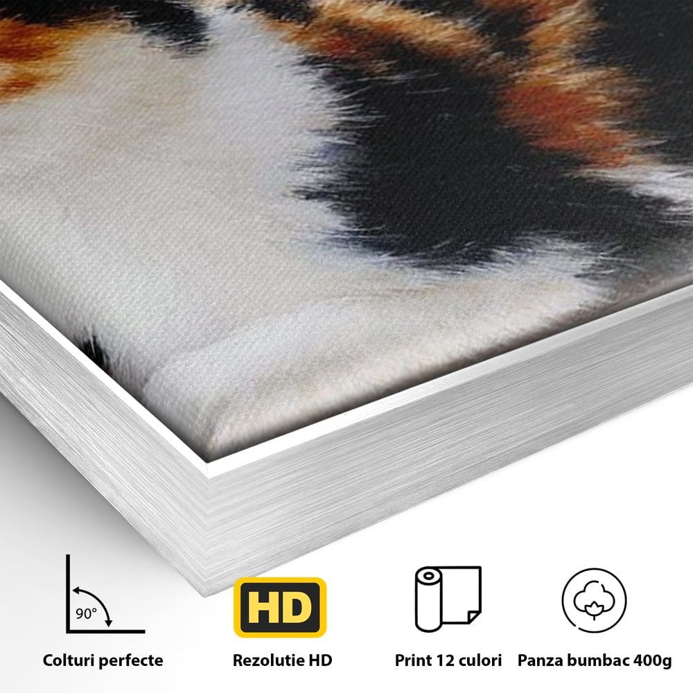 Tablou Canvas Premium, LuxCanva® M1193, Pisica in Vis Parizian, Turnul Eiffel, Paris, Oras, Pisica, Blana, Felina, Fereastra, Frantuzesc, Pervaz, Calico, Birou, Living, Camera Copil