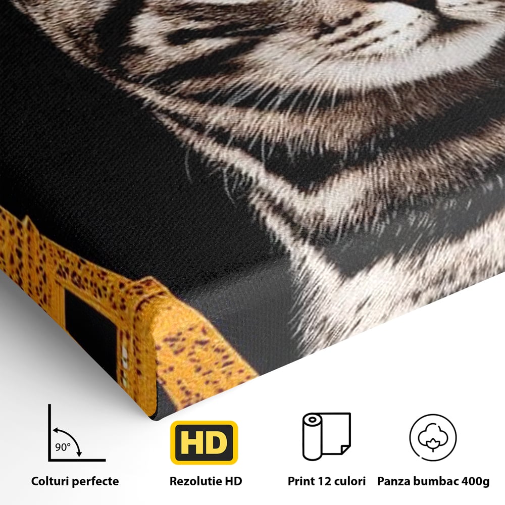 Tablou Canvas Premium, LuxCanva® M1194, Paris in Ochi Albastri, Pisica, Abstract, Franta, Dungi, Urban, Sofisticat, Desen, Blana, Felina, Auriu, Ochi, Birou, Living, Camera Copil