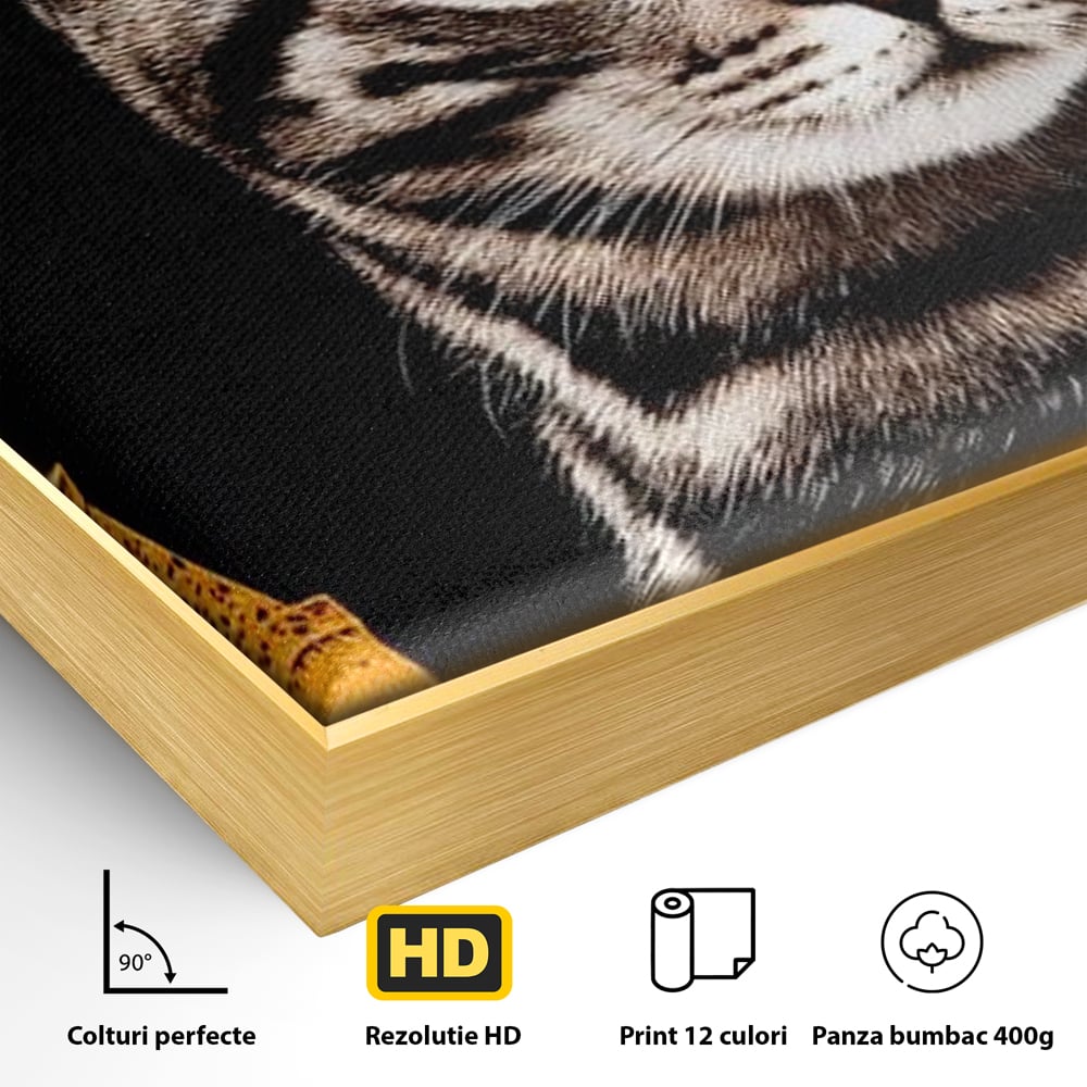 Tablou Canvas Premium, LuxCanva® M1194, Paris in Ochi Albastri, Pisica, Abstract, Franta, Dungi, Urban, Sofisticat, Desen, Blana, Felina, Auriu, Ochi, Birou, Living, Camera Copil