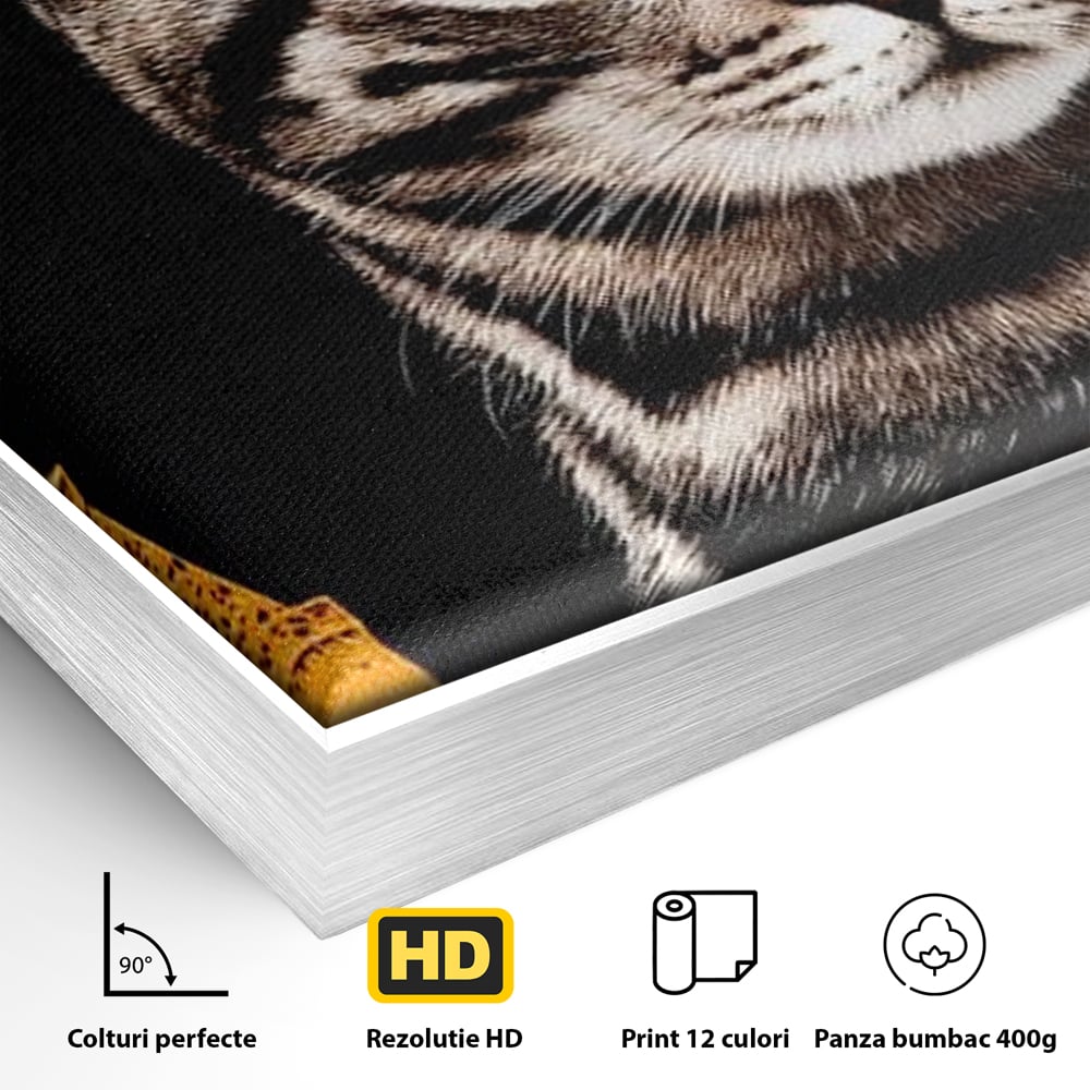 Tablou Canvas Premium, LuxCanva® M1194, Paris in Ochi Albastri, Pisica, Abstract, Franta, Dungi, Urban, Sofisticat, Desen, Blana, Felina, Auriu, Ochi, Birou, Living, Camera Copil