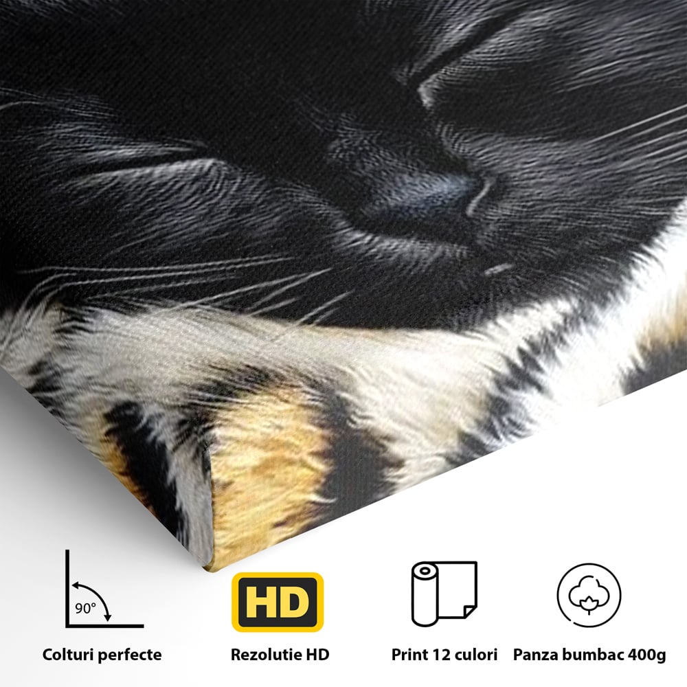 Tablou Canvas Premium, LuxCanva® M1199, Somnul Regal, Auriu, Imprimeu, Leopard, Pisica, Negru, Somn, Relaxare, Mustati, Felina, Elegant, Confort, Pufos, Birou, Living, Camera Copil