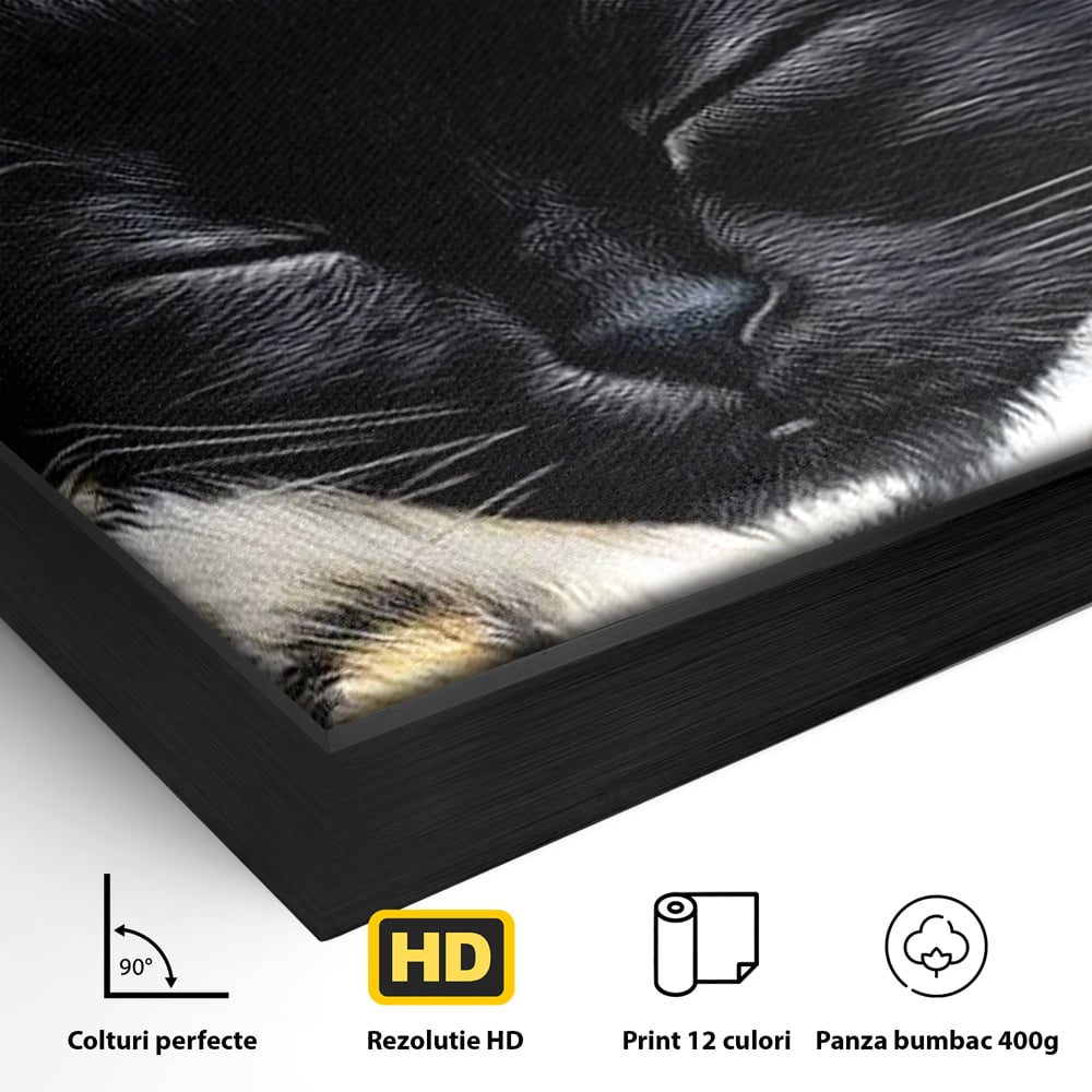 Tablou Canvas Premium, LuxCanva® M1199, Somnul Regal, Auriu, Imprimeu, Leopard, Pisica, Negru, Somn, Relaxare, Mustati, Felina, Elegant, Confort, Pufos, Birou, Living, Camera Copil