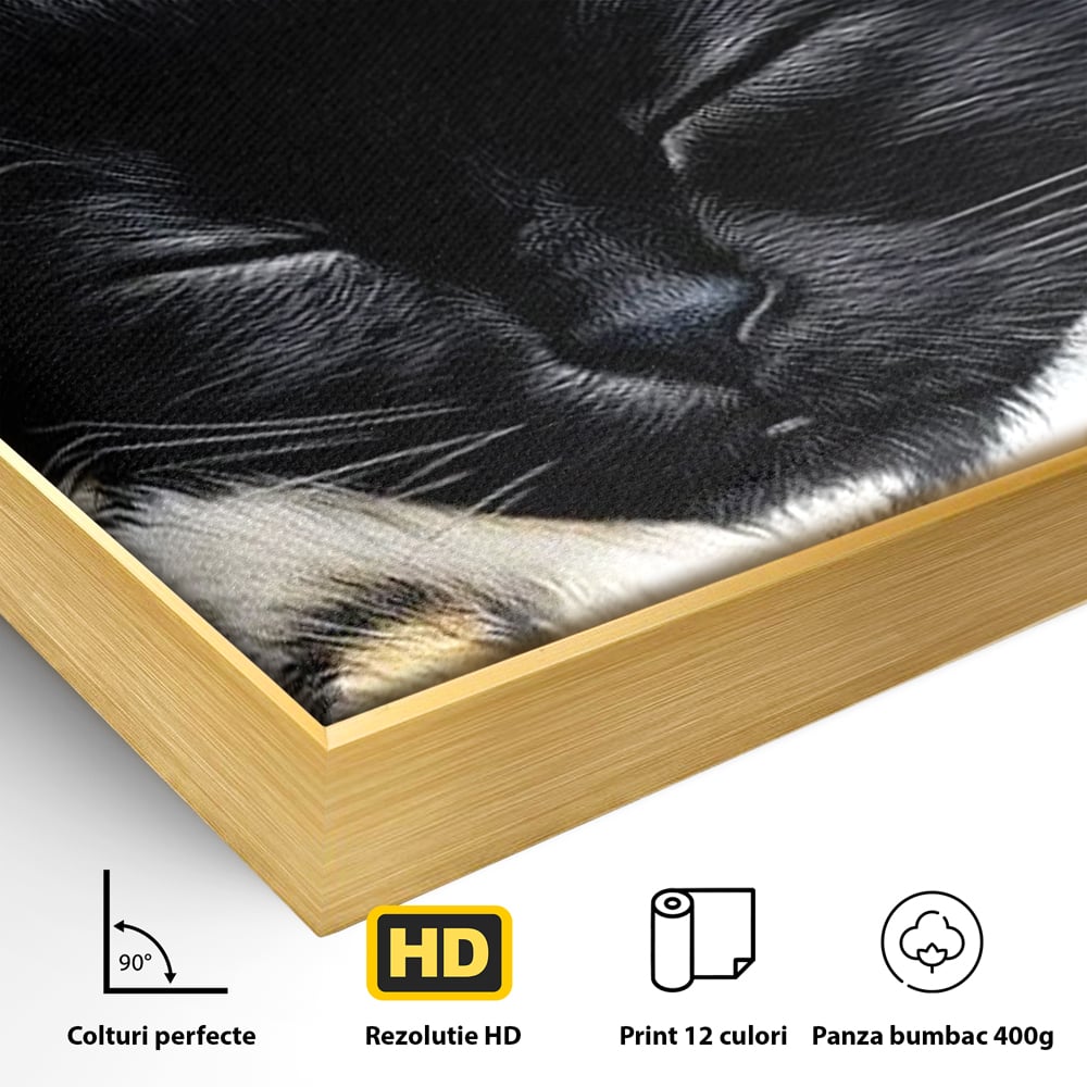 Tablou Canvas Premium, LuxCanva® M1199, Somnul Regal, Auriu, Imprimeu, Leopard, Pisica, Negru, Somn, Relaxare, Mustati, Felina, Elegant, Confort, Pufos, Birou, Living, Camera Copil