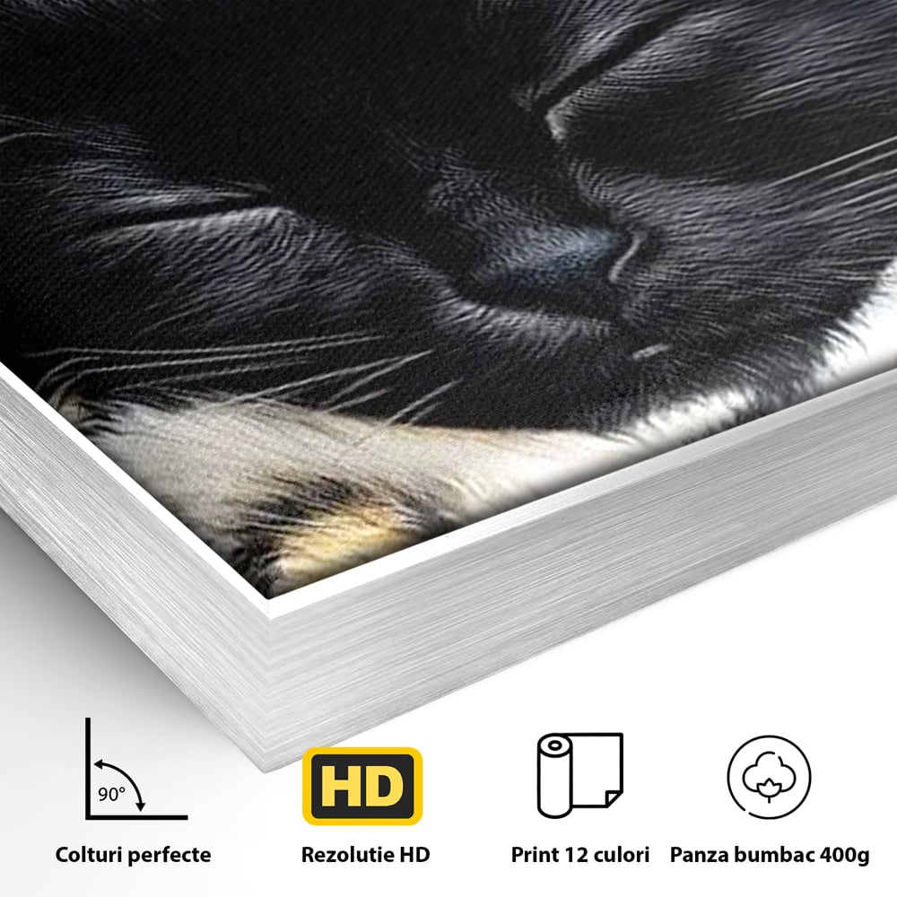 Tablou Canvas Premium, LuxCanva® M1199, Somnul Regal, Auriu, Imprimeu, Leopard, Pisica, Negru, Somn, Relaxare, Mustati, Felina, Elegant, Confort, Pufos, Birou, Living, Camera Copil