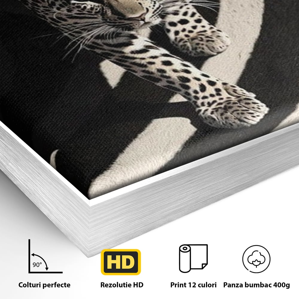 Tablou Canvas Premium, LuxCanva® M1207, Valuri de Putere, Leopard, Spirala, Hipnotic, Alb si Negru, Abstract, Design, Miscare, Felina, Animale, Birou, Living, Camera Copil