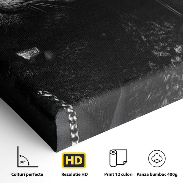 Tablou Canvas Premium, LuxCanva® M1209, Mafie in Doi, Trandafiri, Flori, Feline, Mafie, Pisici, Ochelari, Gangster, Pereche, Lux, Fashion, Palarie, Lant, Birou, Living, Camera Copil