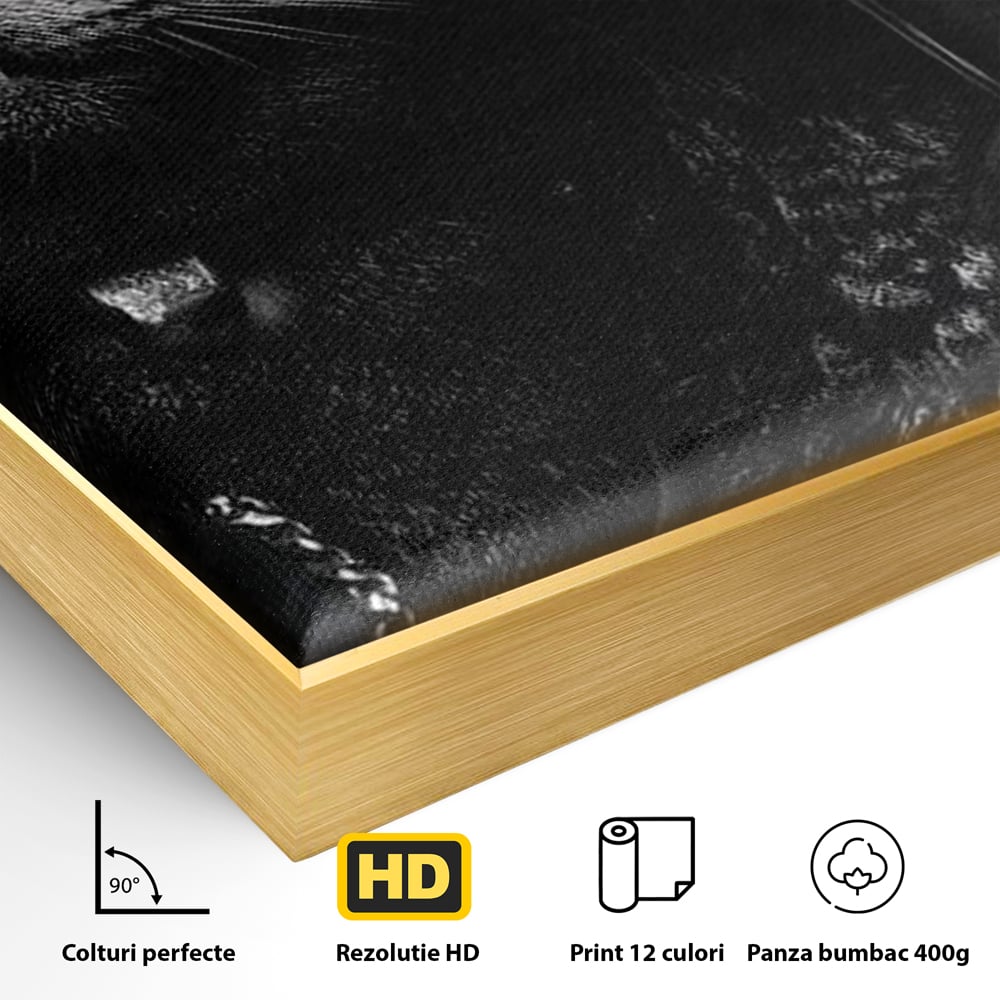 Tablou Canvas Premium, LuxCanva® M1209, Mafie in Doi, Trandafiri, Flori, Feline, Mafie, Pisici, Ochelari, Gangster, Pereche, Lux, Fashion, Palarie, Lant, Birou, Living, Camera Copil