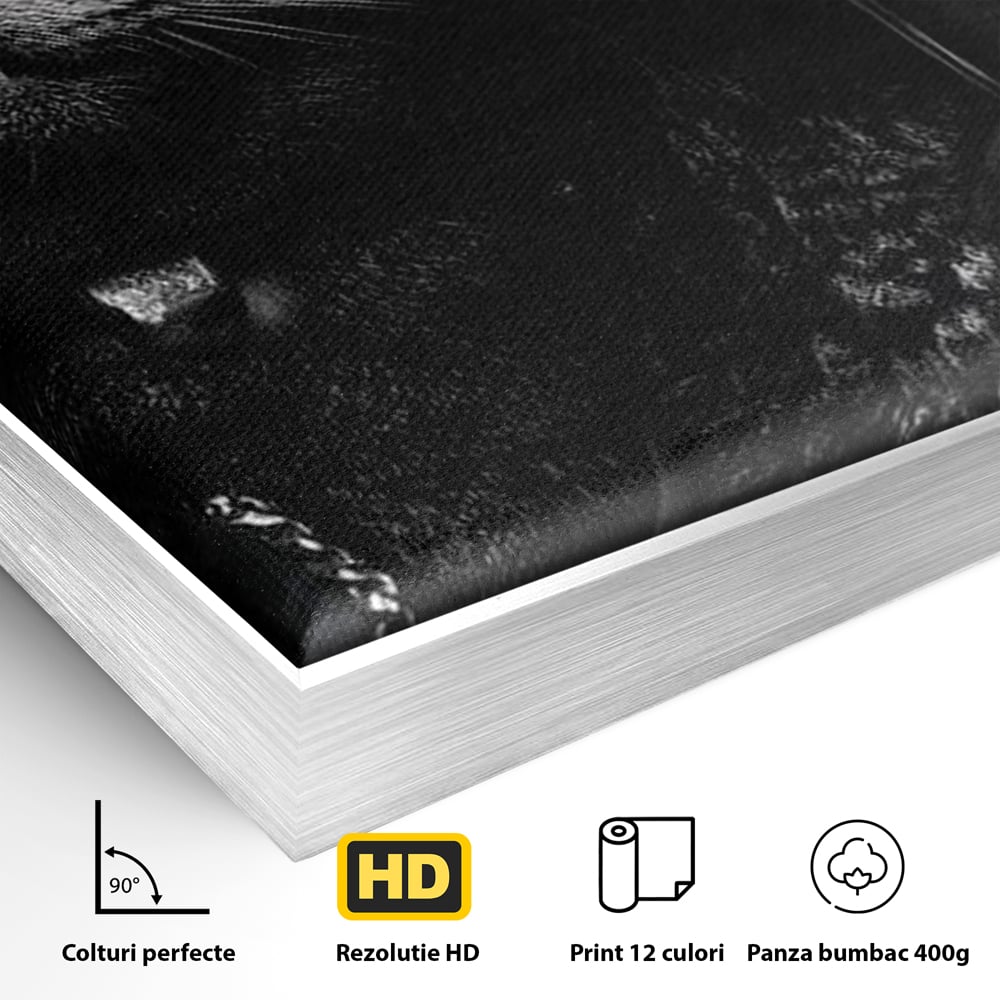 Tablou Canvas Premium, LuxCanva® M1209, Mafie in Doi, Trandafiri, Flori, Feline, Mafie, Pisici, Ochelari, Gangster, Pereche, Lux, Fashion, Palarie, Lant, Birou, Living, Camera Copil