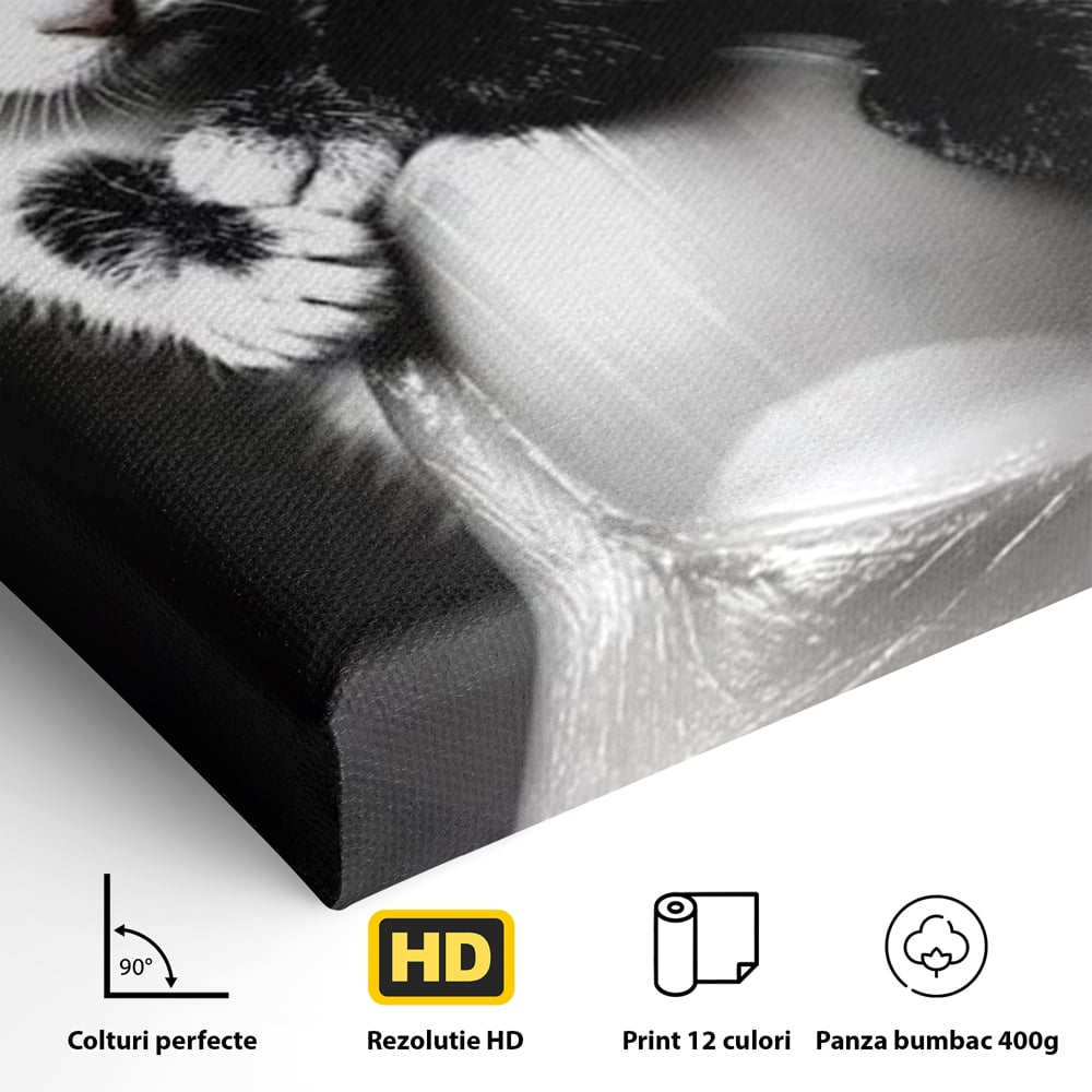Tablou Canvas Premium, LuxCanva® M1210, Inceput de Viata, Pui, Pisici, Inocenta, Pereche, Feline, Dragalas, Jucaus, Prietenie, Adorabil, Alb si Negru, Copilarie, Birou, Living, Camera Copil