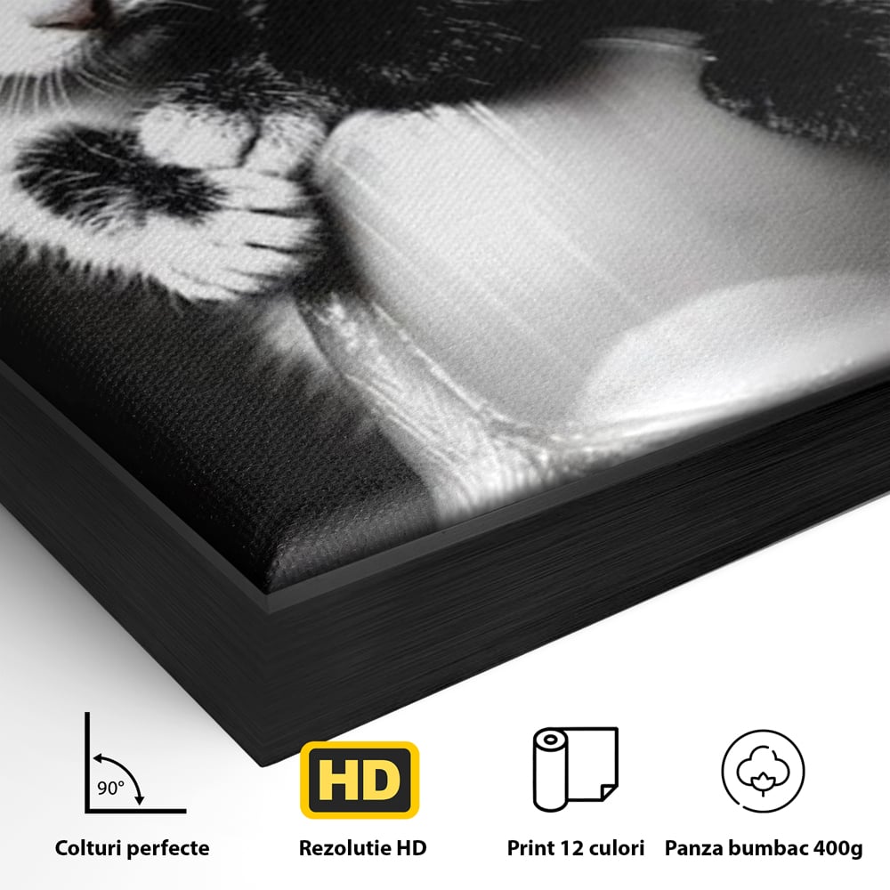 Tablou Canvas Premium, LuxCanva® M1210, Inceput de Viata, Pui, Pisici, Inocenta, Pereche, Feline, Dragalas, Jucaus, Prietenie, Adorabil, Alb si Negru, Copilarie, Birou, Living, Camera Copil
